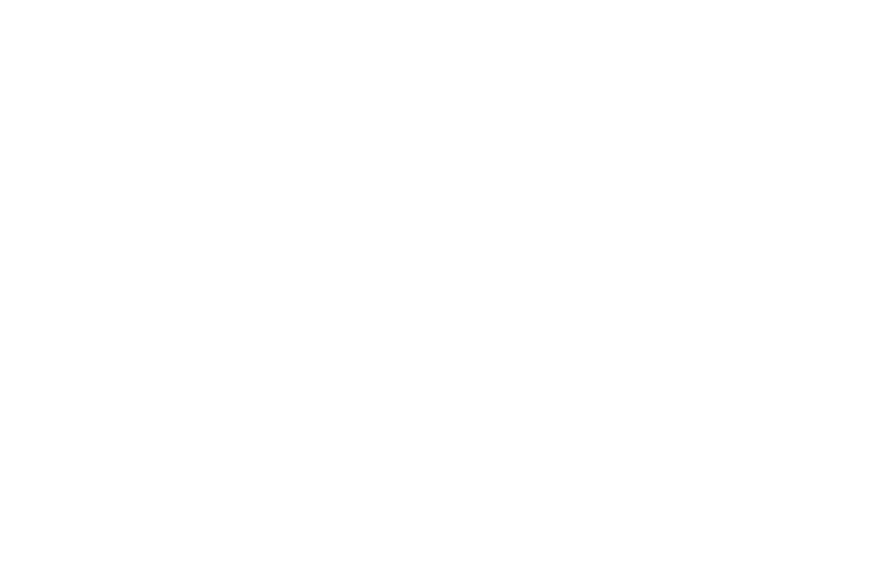 Filmproduktion Bern – True Story Festival – Logo – BOFF.
